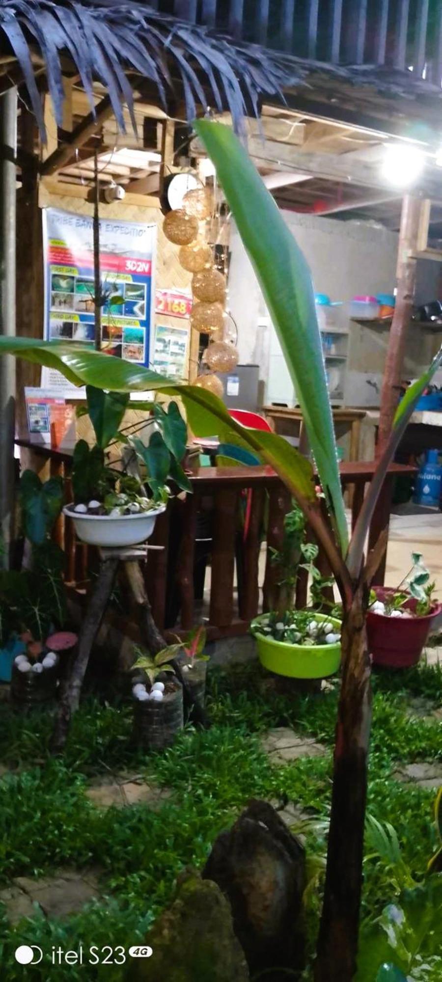 Alfa Garden Lodge El Nido Ngoại thất bức ảnh